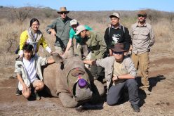 Vietnamese youth pledge support for war on poaching