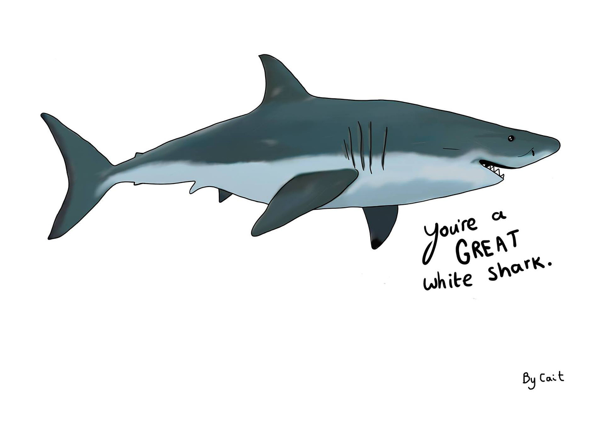 sketch of great white