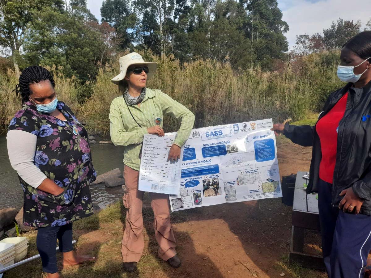 ater Explorer’s Bridget Ringdahl explains how the mini stream assessment scoring system tool works. It identifies different macroinvertebrates in the water that give an indicator of the water quality. Each macroinvertebrate has been given a score that indicates its sensitivity to pollution.