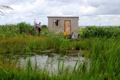 Double dealing in Harare wetlands crisis