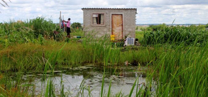 Double dealing in Harare wetlands crisis