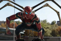 Looking for a Spider-Man sequel? The real thing is spinning a Hollyweb blockbuster in our backyards