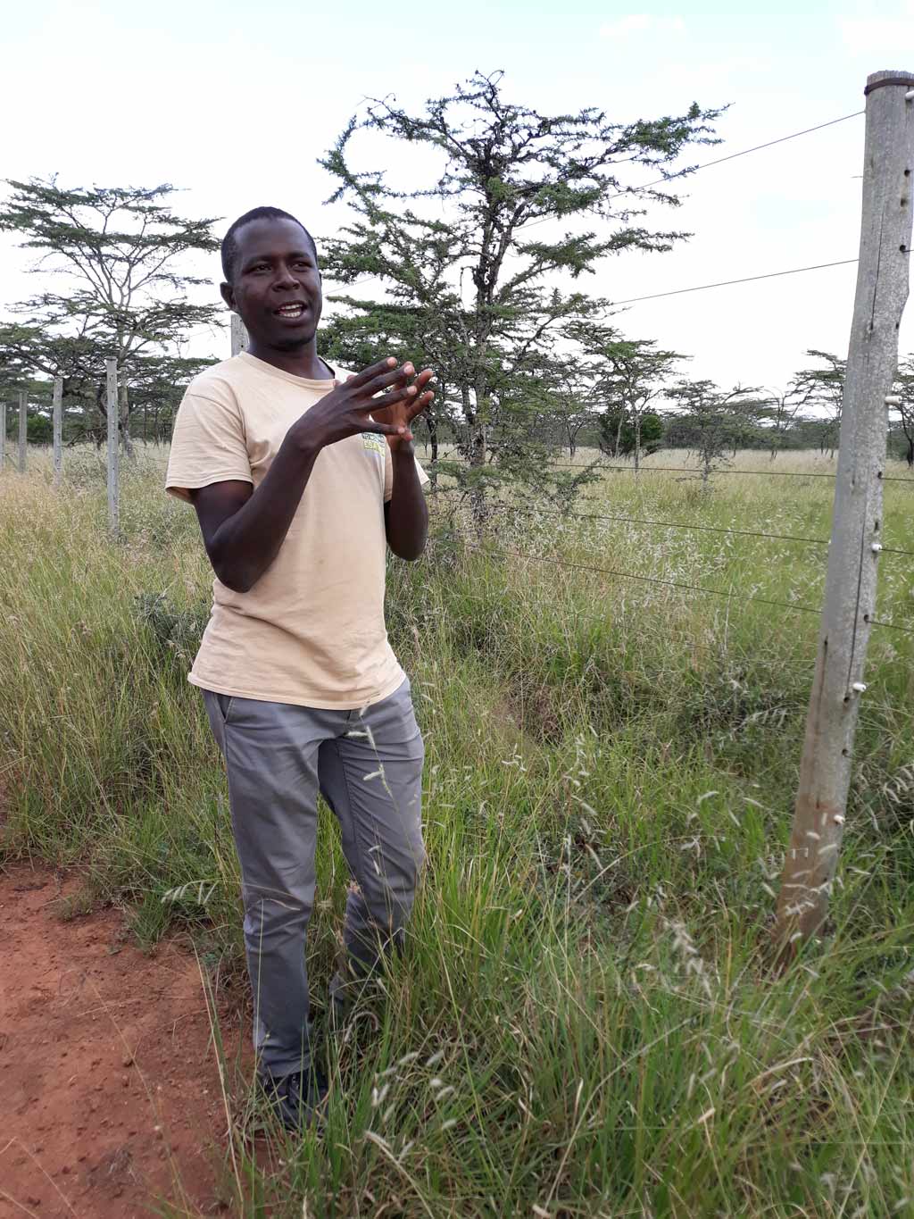 Dr Duncan Kimuyu says domesticated cattle started to spread through the continent about 7000 years ago, ultimately becoming the wellspring for countless traditional communities. Photo: Supplied