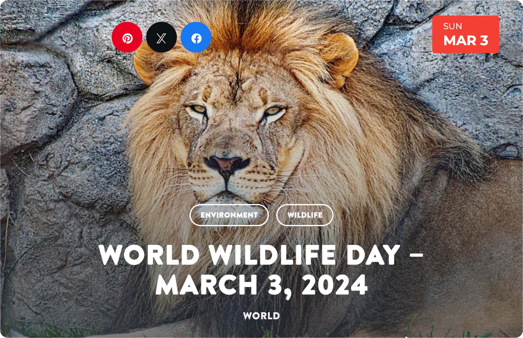 World Wildlife Day 2024 Roving Reporters